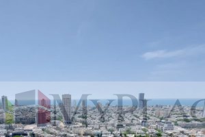 A Penthouse In The Center Of The City