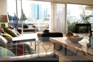 A Penthouse In A Renovated Building