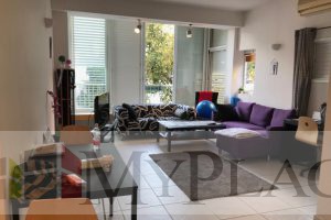 A New Project On A Quiet St