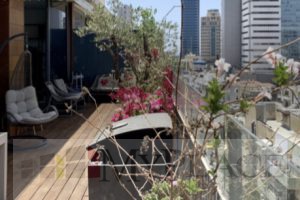 Gorgeous Rooftop Apt In Heart Of Tlv