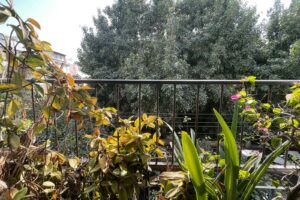 Huge 5 Room On Gordon St