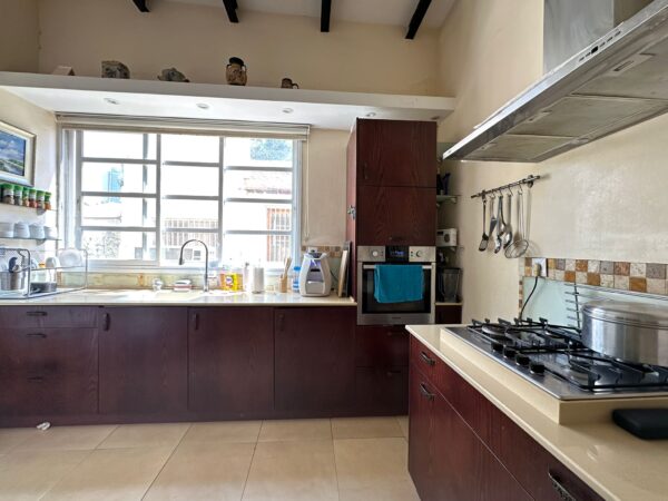 In Neve Tzedek A 6 Room Garden Apartment 2
