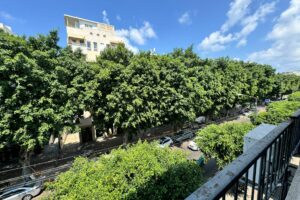 Dizengoff 2 Room In Bldg To Be Fully Renovated