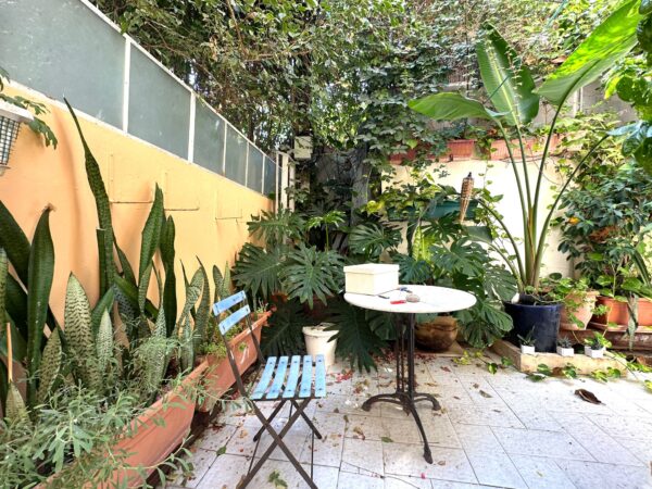 In Neve Tzedek A 6 Room Garden Apartment 8