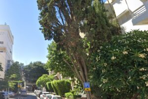 3 Room For Renovation In Bauhaus Bldg Steps From Ben Gurion BLVD