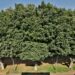 On Sderot Chen A Spacious Bright 3 Room 9