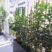Dans une rue calme – Amsterdam, dans un immeuble rénové 9
