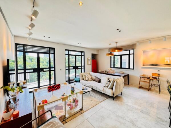 בשדרות רוטשילד מול הבימה 5 חד מושלמת 1