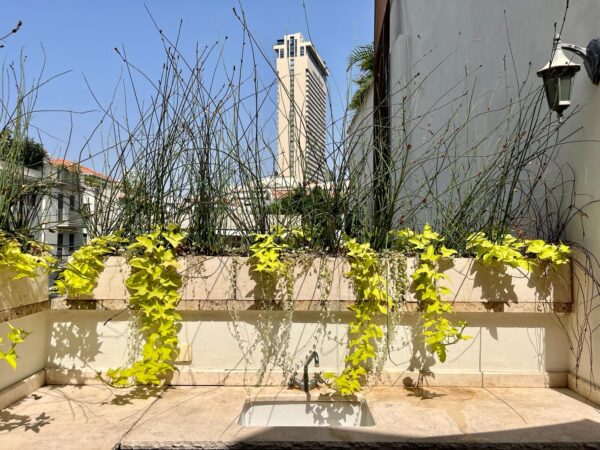 בנווה צדק הקסום וילה מעוצבת ומרשימה 2