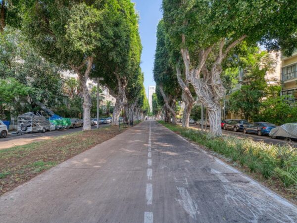 Pretty 3 Room On Iconic Sderot Chen BLVD 12