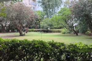In TLVs Old Nth Gorgeous 3 Room W Parking