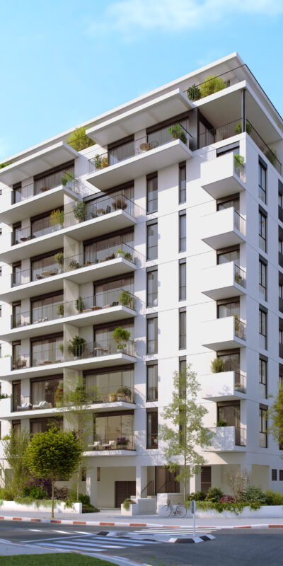 A New Project Facing The Park