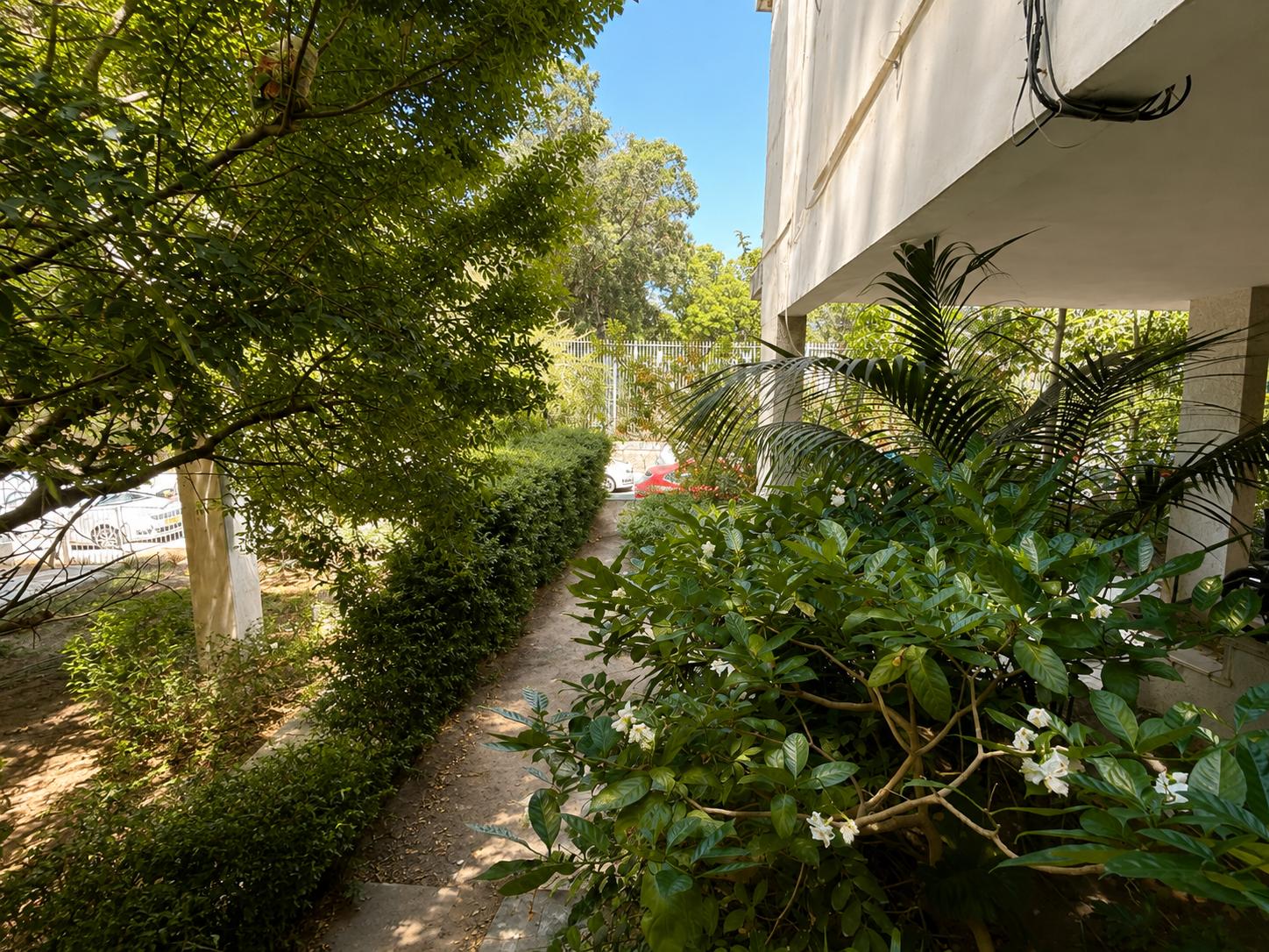 Near Habima 3 Room Apt With Balcony