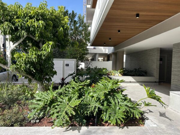 A New 5-Room Apartment with Parking 1