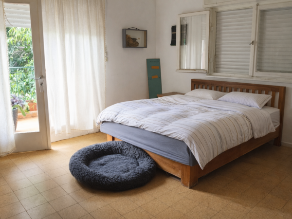 בספיר השקט דירת אופי בת 4 חד עם מרפסת 4