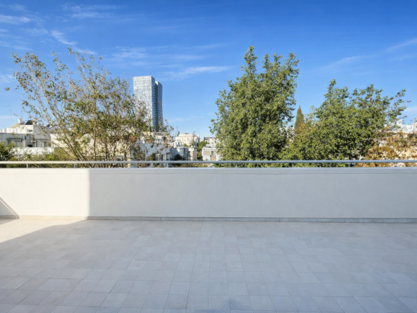 בסוקולוב דירת גג בת 3.5 חד משופצת 8