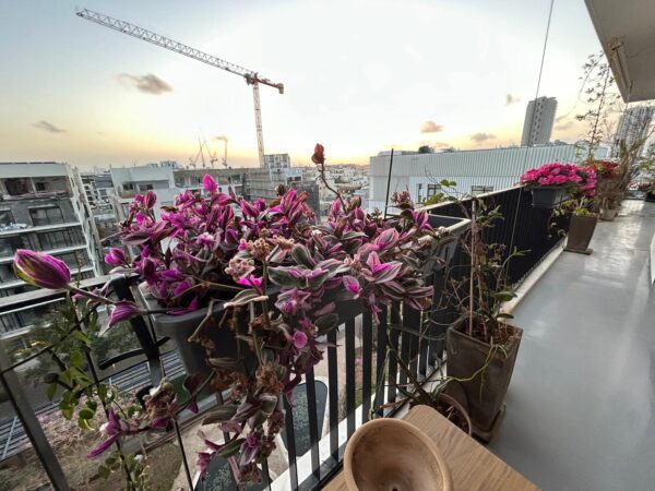 דירת מגזינים עם חניה בפרויקט העליה 2