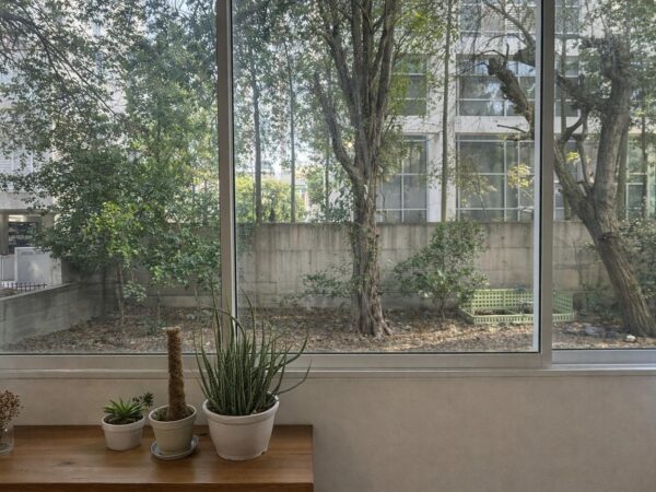 Au centre-ville, un charmant 2 pièces 2