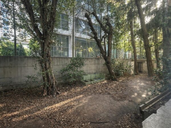 Au centre-ville, un charmant 2 pièces 9