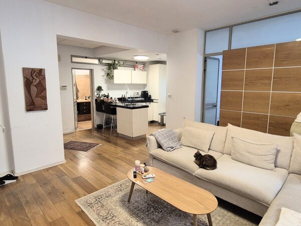 למכירה ברחוב שמריהו לוין דירת 2 חד נהדרת 4