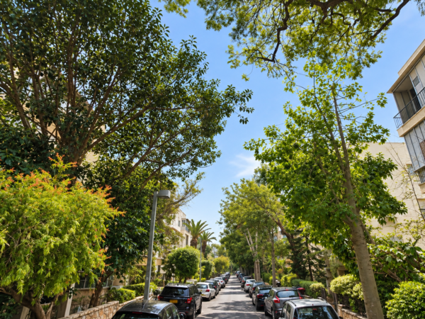 באלכסנדר ינאי 3 חד חדשה עם חניה 2