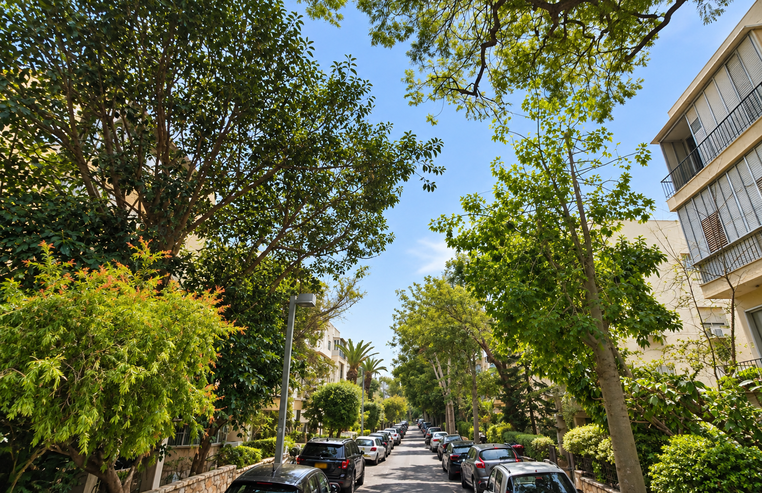 באלכסנדר ינאי 3 חד חדשה עם חניה